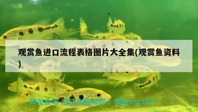 觀賞魚(yú)進(jìn)口流程表格圖片大全集(觀賞魚(yú)資料) 觀賞魚(yú)進(jìn)出口