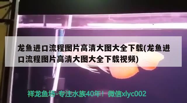 沈陽魚缸維修電話號碼查詢沈陽魚缸維修電話號碼是多少號啊，沈陽魚缸維修電話號碼是多少號啊