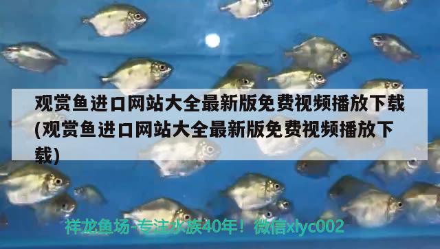 觀賞魚進(jìn)口網(wǎng)站大全最新版免費(fèi)視頻播放下載(觀賞魚進(jìn)口網(wǎng)站大全最新版免費(fèi)視頻播放下載) 觀賞魚進(jìn)出口