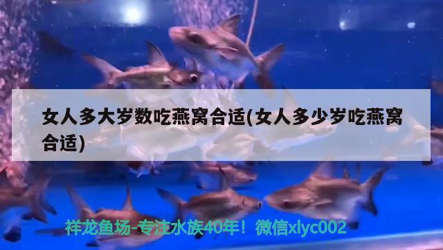 瀘州魚缸批發(fā)市場(chǎng)電話號(hào)碼查詢 瀘州觀賞魚市場(chǎng) 魚缸水質(zhì)穩(wěn)定劑