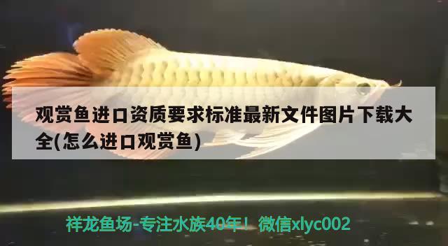 觀賞魚進(jìn)口資質(zhì)要求標(biāo)準(zhǔn)最新文件圖片下載大全(怎么進(jìn)口觀賞魚) 觀賞魚進(jìn)出口