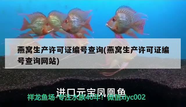 金龍魚和錦鯉魚有什么區(qū)別，金龍魚和錦鯉魚有什么區(qū)別 養(yǎng)魚的好處 第2張