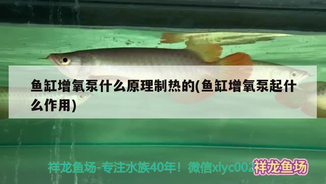 魚缸增氧泵什么原理制熱的(魚缸增氧泵起什么作用) 元寶鯽