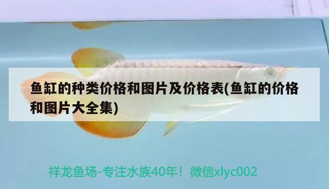 魚缸的種類價格和圖片及價格表(魚缸的價格和圖片大全集) 丹頂錦鯉魚