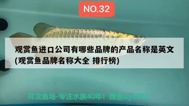 婁底魚缸哪里買的到??？婁底魚缸多少錢？寵物店市場網(wǎng)購平臺魚缸價格，婁底魚缸哪里買婁底魚缸多少錢寵物店市場網(wǎng)購平臺魚缸價格