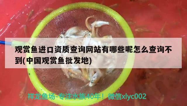 養(yǎng)小型熱帶魚(yú)用什么樣的魚(yú)缸（養(yǎng)小型熱帶魚(yú)用什么樣的魚(yú)缸比較好） 噴點(diǎn)菠蘿魚(yú) 第2張