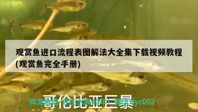 觀賞魚進(jìn)口流程表圖解法大全集下載視頻教程(觀賞魚完全手冊) 觀賞魚進(jìn)出口