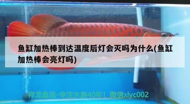 魚缸加熱棒到達溫度后燈會滅嗎為什么(魚缸加熱棒會亮燈嗎) 元寶鳳凰魚專用魚糧