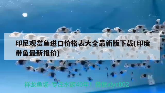 原神觀賞魚刷新點(diǎn)，天津哪里賣觀賞魚便宜