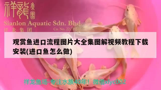 湖州魚(yú)缸購(gòu)買(mǎi)指南，湖州魚(yú)缸去哪里買(mǎi)便宜點(diǎn)的呢