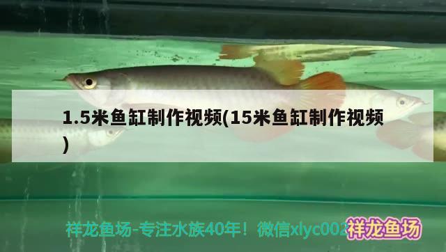 1.5米魚(yú)缸制作視頻(15米魚(yú)缸制作視頻)