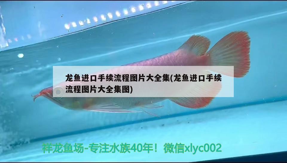 銀魚(yú)粉怎么吃？銀魚(yú)粉做法天然味精怎么做，銀魚(yú)粉做法天然味精怎么做嬰兒輔食蝦皮粉做法天然味精怎么做