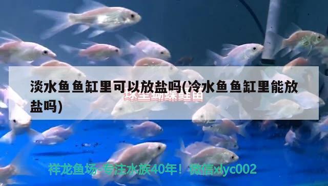 淡水魚(yú)魚(yú)缸里可以放鹽嗎(冷水魚(yú)魚(yú)缸里能放鹽嗎) 養(yǎng)魚(yú)知識(shí)