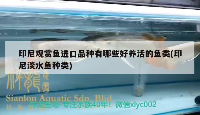 自貢魚缸定制廠家電話多少（自貢酒缸公司） 其他品牌魚缸 第3張