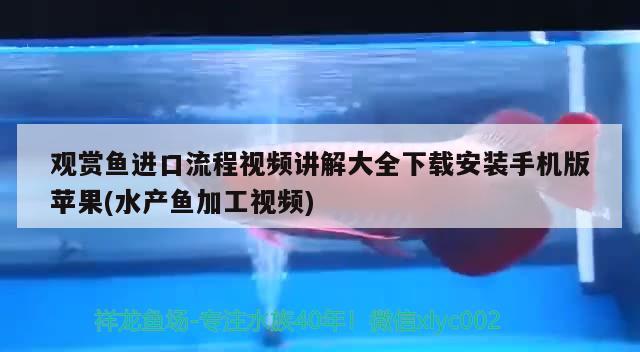 邯鄲定制魚缸廠家電話地址  巴西亞魚 第1張