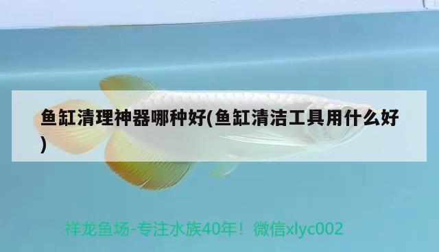 魚(yú)缸清理神器哪種好(魚(yú)缸清潔工具用什么好) 白子關(guān)刀魚(yú)苗