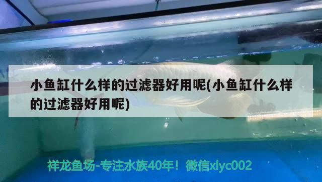 金冠魚缸圖片及價格表及價格表-打造豪華水族世界，金冠魚缸圖片及價格表-打造豪華水族世界