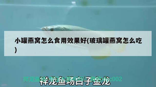 小罐燕窩怎么食用效果好(玻璃罐燕窩怎么吃) 馬來西亞燕窩