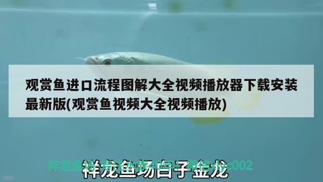 觀賞魚進(jìn)口流程圖解大全視頻播放器下載安裝最新版(觀賞魚視頻大全視頻播放) 觀賞魚進(jìn)出口