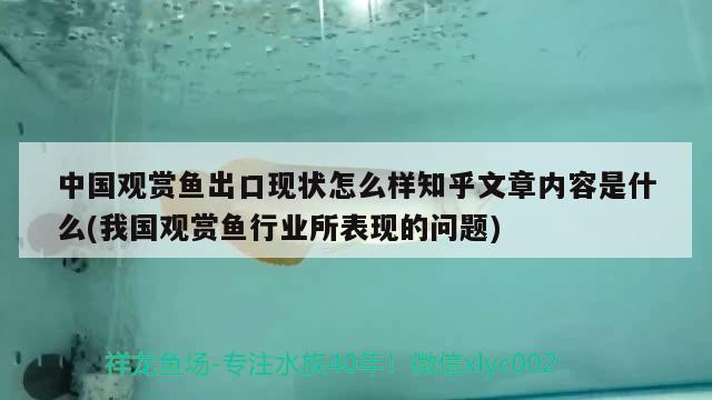 中國(guó)觀賞魚(yú)出口現(xiàn)狀怎么樣知乎文章內(nèi)容是什么(我國(guó)觀賞魚(yú)行業(yè)所表現(xiàn)的問(wèn)題) 觀賞魚(yú)進(jìn)出口