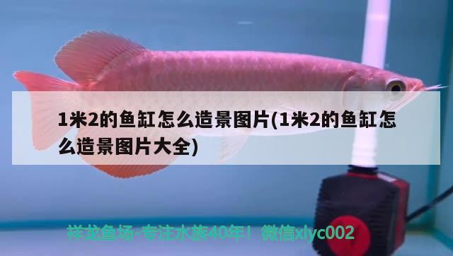 1米2的魚缸怎么造景圖片(1米2的魚缸怎么造景圖片大全)