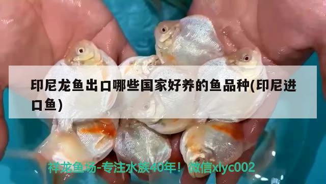 長(zhǎng)治魚(yú)缸定做廠家電話多少?。洪L(zhǎng)治二手魚(yú)缸交易市場(chǎng) 廣州水族批發(fā)市場(chǎng) 第1張