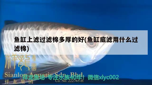 魚(yú)缸上濾過(guò)濾棉多厚的好(魚(yú)缸底濾用什么過(guò)濾棉) 過(guò)濾設(shè)備