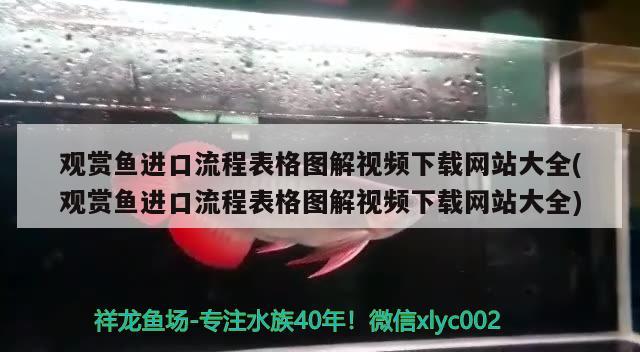 觀賞魚進(jìn)口流程表格圖解視頻下載網(wǎng)站大全(觀賞魚進(jìn)口流程表格圖解視頻下載網(wǎng)站大全)