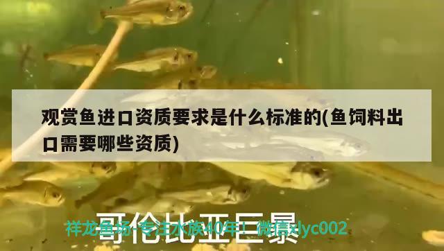 觀賞魚進(jìn)口資質(zhì)要求是什么標(biāo)準(zhǔn)的(魚飼料出口需要哪些資質(zhì)) 觀賞魚進(jìn)出口