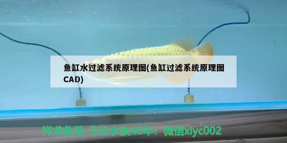 坐南向北魚缸怎么放 坐南向北魚缸放在客廳什么位置最好