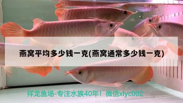 魚缸循環(huán)過濾系統(tǒng)怎么抽水的啊(魚缸循環(huán)過濾系統(tǒng)怎么抽水的啊) 印尼紅龍魚 第1張