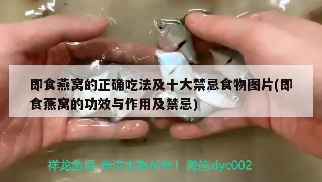 綿陽魚缸維修電話地址及電話號碼（綿陽魚缸維修電話地址及電話號碼查詢） 觀賞魚 第1張