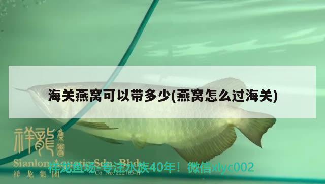 海關燕窩可以帶多少(燕窩怎么過海關) 馬來西亞燕窩