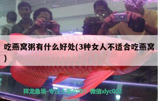 怎么固定魚缸里的水草：魚缸里面的水草怎么固定 水草 第3張