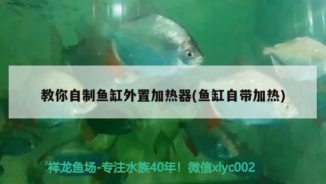 教你自制魚缸外置加熱器(魚缸自帶加熱)