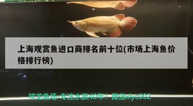 上海觀賞魚進口商排名前十位(市場上海魚價格排行榜)