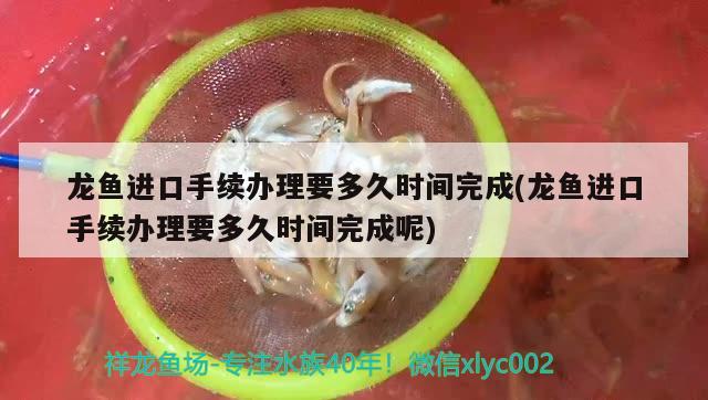 南寧龍魚價格查詢表圖片：南寧廣龍魚 養(yǎng)魚的好處 第3張