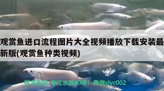 魚缸燈太亮(魚缸燈太亮刺眼怎么辦)