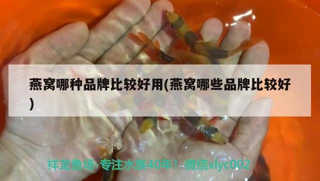 燕窩哪種品牌比較好用(燕窩哪些品牌比較好) 馬來西亞燕窩