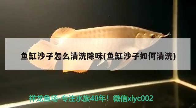 魚(yú)缸沙子怎么清洗除味(魚(yú)缸沙子如何清洗) 其它水族用具設(shè)備