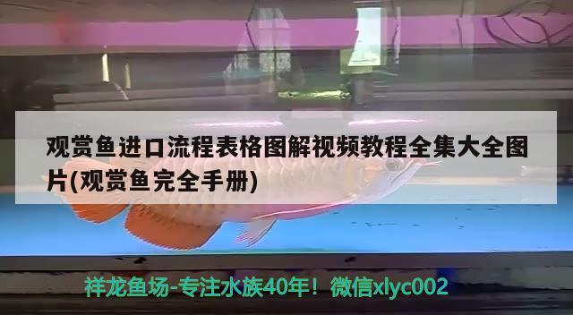 觀賞魚進口流程表格圖解視頻教程全集大全圖片(觀賞魚完全手冊) 觀賞魚進出口