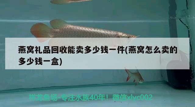 魚缸濾水器不出水咋回事視頻（魚缸濾水器不出水咋回事視頻講解）