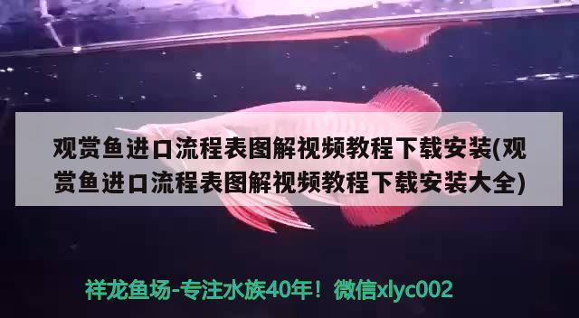 魚缸濾水器不出水咋回事視頻（魚缸濾水器不出水咋回事視頻講解）