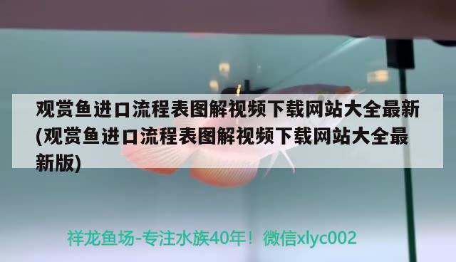 觀賞魚(yú)進(jìn)口流程表圖解視頻下載網(wǎng)站大全最新(觀賞魚(yú)進(jìn)口流程表圖解視頻下載網(wǎng)站大全最新版) 觀賞魚(yú)進(jìn)出口