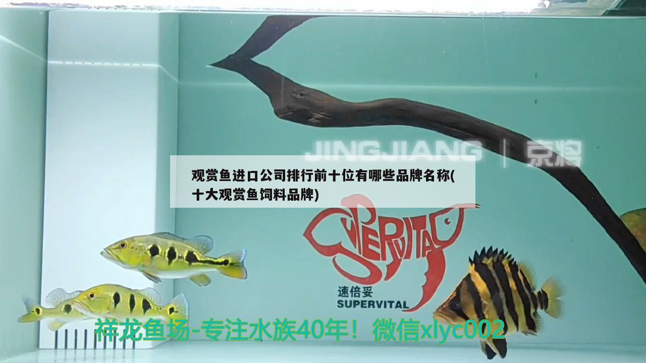 觀賞魚進口公司排行前十位有哪些品牌名稱(十大觀賞魚飼料品牌) 觀賞魚進出口 第2張