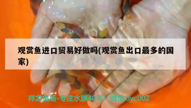 觀賞魚進(jìn)口貿(mào)易好做嗎(觀賞魚出口最多的國家) 觀賞魚進(jìn)出口