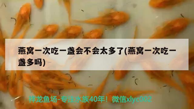 山東銳馳機(jī)械有限公司介紹，問一下泰安魚缸什么地方有賣