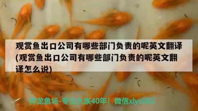 觀賞魚(yú)出口公司有哪些部門(mén)負(fù)責(zé)的呢英文翻譯(觀賞魚(yú)出口公司有哪些部門(mén)負(fù)責(zé)的呢英文翻譯怎么說(shuō))