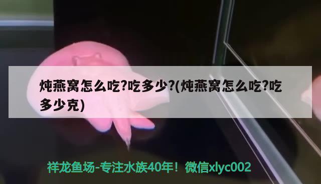 七彩雷龍魚能長(zhǎng)多大，能活多久，七彩雷龍魚能活多久七彩雷龍魚能活多久七彩雷龍魚