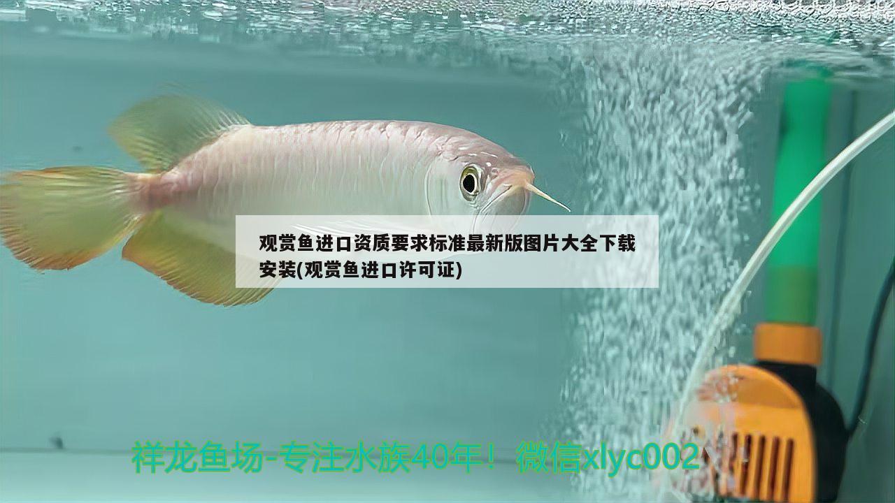 觀賞魚進(jìn)口資質(zhì)要求標(biāo)準(zhǔn)最新版圖片大全下載安裝(觀賞魚進(jìn)口許可證)